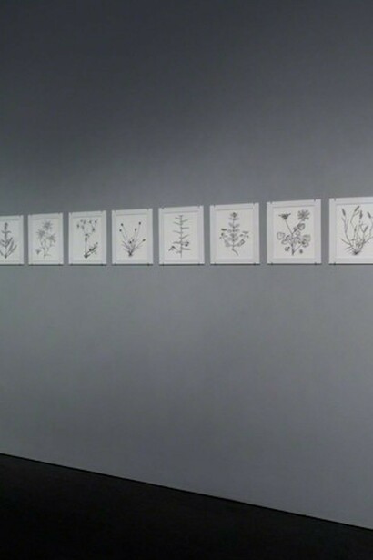 Hammer Projects: Marwa Arsanios, Exhibition view. Courtesy of Hammer Museum
