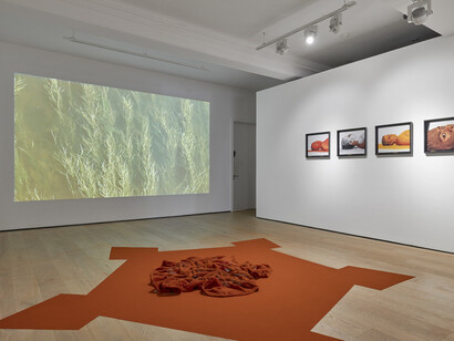 Made Routes. Courtesy of Richard Saltoun Gallery