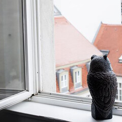 Zarouhie Abdalian, a caveat, a decoy, 2014, window, sound, and owl decoy, dimensions variable, detail view
