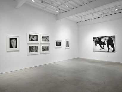 Moriyama Daido, Dog and man, exhibition view. Courtesy of Casemore Gallery 