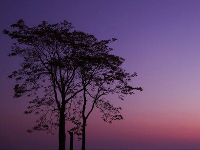 In the fading light, the lone tree reflects the struggle of existence, caught between the need to endure and the dangers of losing one's identity in the process