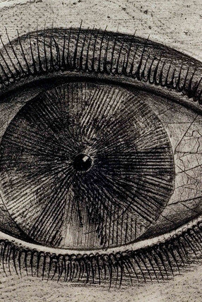 Max Ernst, Historie naturelle, 1926
© VG Bild-Kunst, Bonn 2014