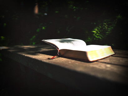 Libro abierto descansa sobre un solitario banco en una tarde soleada