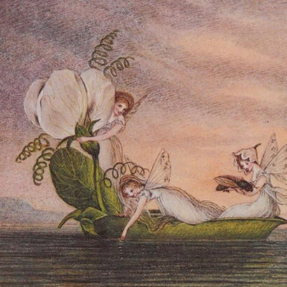 Murray è famosa per i suoi dipinti di fate e creature immaginarie, opere che riflettono il gusto romantico per il soprannaturale e il mistero