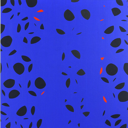 Photo Muriel Anssens