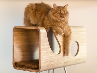 Animali Caber - CAT60 - Rovere. Ph Elia Falaschi