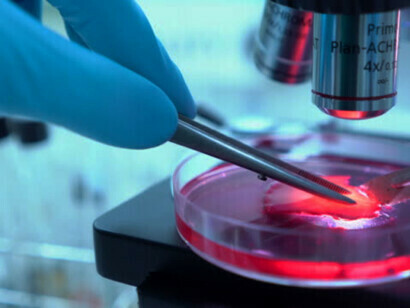 Cientistas fazendo uma pesquisa com células-tronco