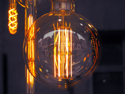 A round, large light bulb and several long thin bulbs full of energy