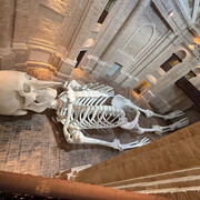 Ex Chiesa della SS. Trinità in Annunziata