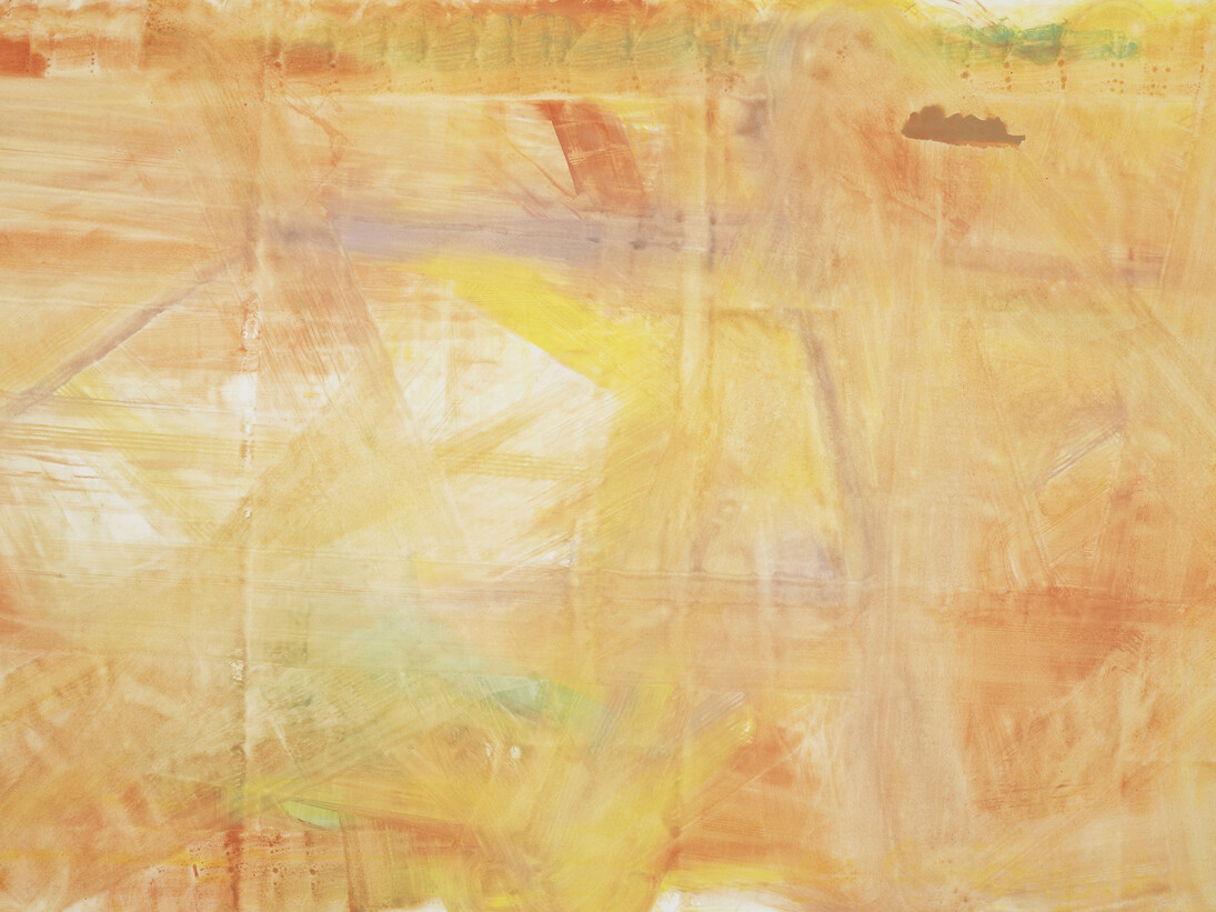 Reena Spaulings, Later Seascapes 3, 2014, Farrow & Ball “estate emulsions” on canvas, 279 x 444 cm / 110 x 175 inches, Courtesy of Campoli Presti, London / Paris 