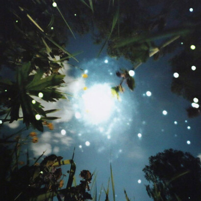 Dianne Bos. Courtesy of AGH 