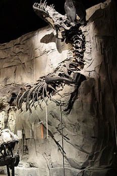 Foundations. Courtesy of Royal Tyrrell Museum