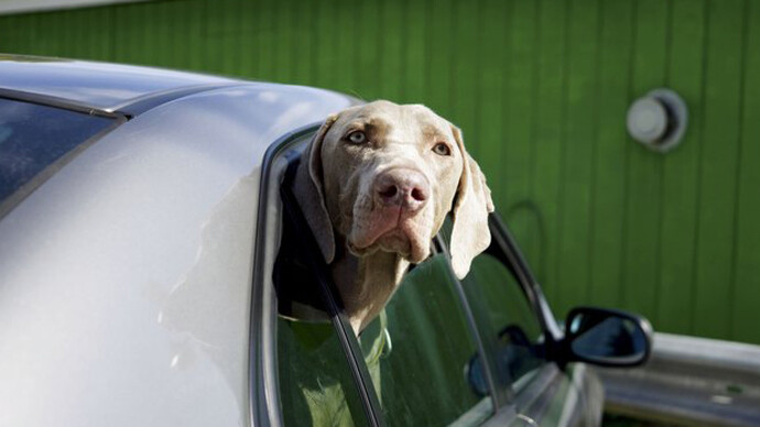 Über Leben am Land. Courtesy of Kunst Haus Wien