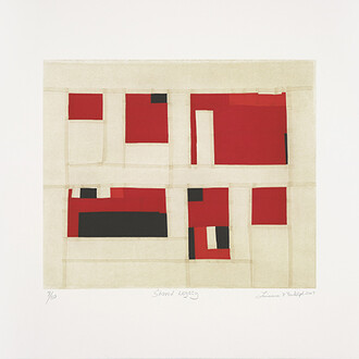 Second Look, Twice. Courtesy of Museum of the African Diaspora