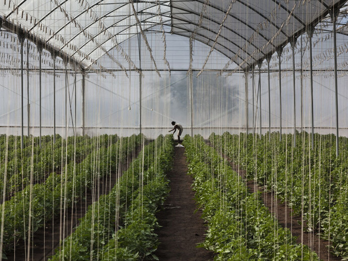 Alfredo Bini, Land Grabbing or Land to Investors?