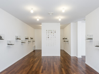 Coquelicots, Exhibition view. Courtesy of MFC - Michèle Didier