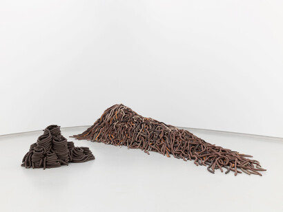 Anna Maria Maiolino, Poetic Earth, exhibition view. Courtesy of MAAT