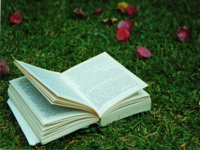 Un libro sobre el césped