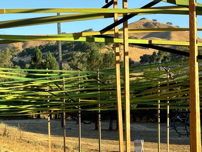 Philip Krohn and Auxart, Hawks and doves, exhibition view. Courtesy of Di Rosa Gallery