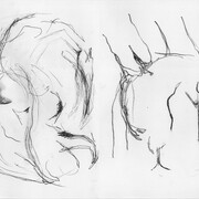 Alis/Filliol, disegni