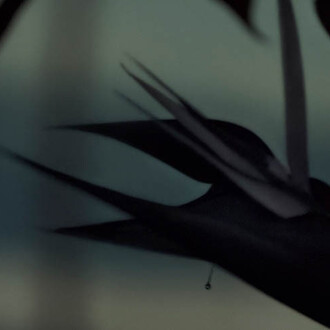 Cyprien Gaillard. Roots Canal. Courtesy of Museum Tinguely