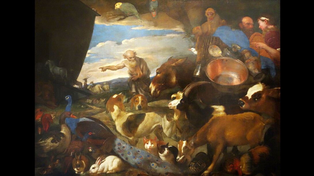 Giovanni Benedetto Castiglione, L'arca di Noè, olio su tela, 180 x 256 cm. Genova, Museo dell'Accademia Ligustica