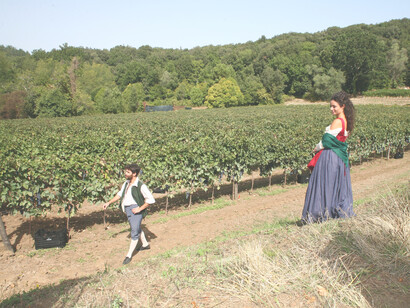 La antigua viña borbónica vuelve a tomar vida