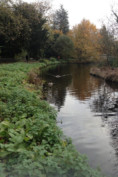 Chiswick, the Thames River.