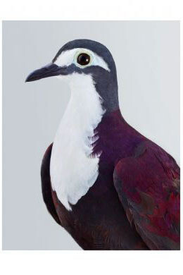 Leila Jeffreys. Courtesy of Purdy Hicks Gallery