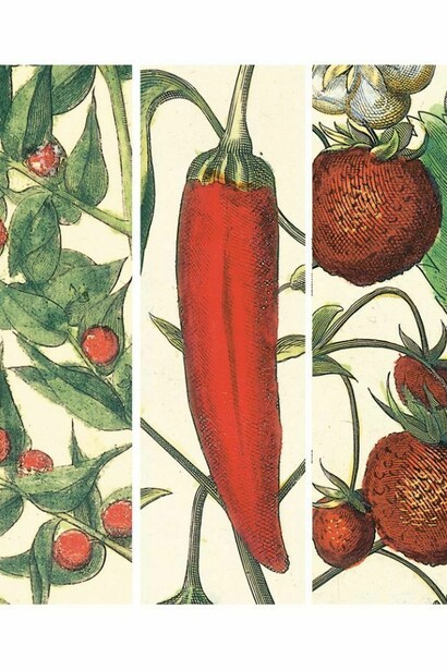 Hortus Eystettensis di Basilius Besler