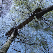 Oliver Ressler, How is the Air up There?, digital print, 59,5x84,4 cm, 2018, Edition 5+1, Courtesy The Gallery Apart Rome