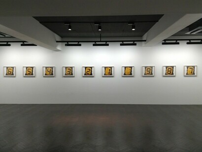 Counter Skin Colors, Exhibition view. Courtesy of Akio Nagasawa Gallery