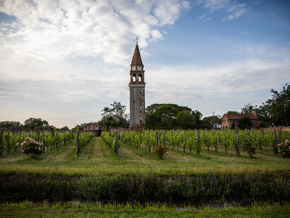 Tenuta Venissa ©Valeria Necchio