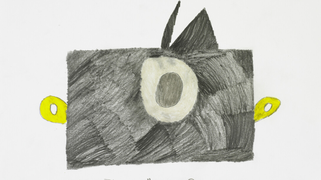 Günther Schützenhöfer camera
Pencil,
2015