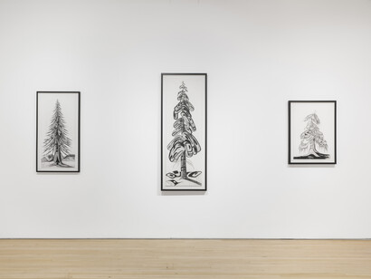 Installation Image,  Lawrence Paul Yuxweluptun, Neo Reservation Landscape Painting and Ovoidism, 2023. Courtesy of Arsenal Contemporary Art New York