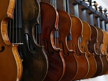 Violines