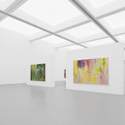 Wang Xinyan, Ramble, exhibition view. Courtesy of Hive Center for Contemporary Art