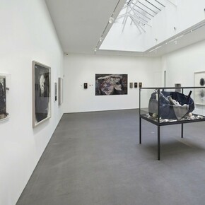 Ricardo Brey, Exhibition view. Courtesy of The Galerie Nathalie Obadia