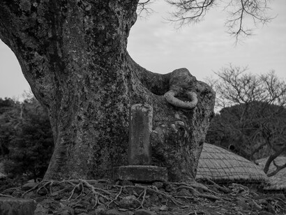 Ban Gwang-Cheon, Contemplating Hanok. Courtesy of  Kate Oh Gallery