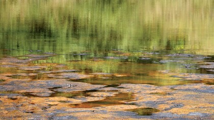 Le Stanze in Fiore, foto Rossella Pezzino De Geronimo