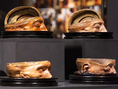 Brain(s), exhibition view. Courtesy of Casa de la Ciencia