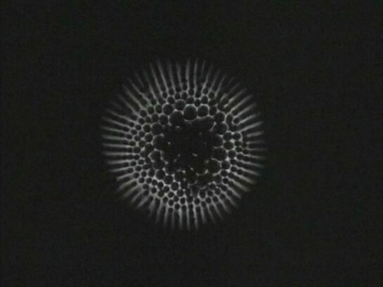 Brian Fridge, Sequence 2.3 (detail), 2003, Black & white, silent video, 0:10