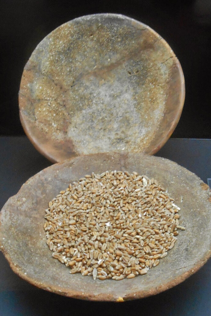 Vestígios arqueológicos do Museu da Escrita do Sudoeste