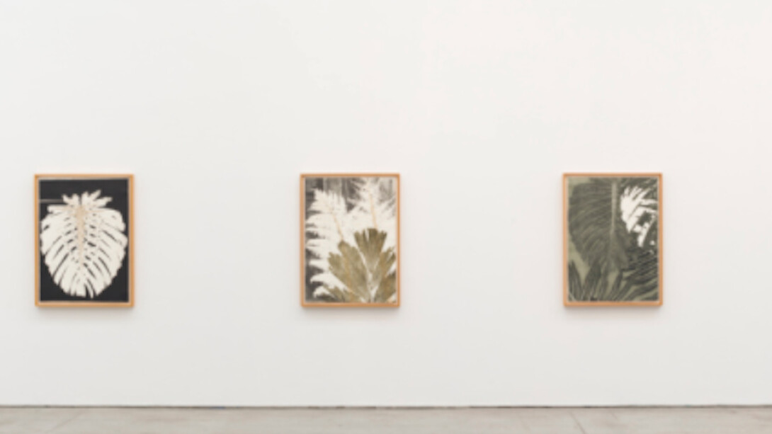 Monotypes, Exhibition view. Courtesy of Fortes D’Aloia & Gabriel 