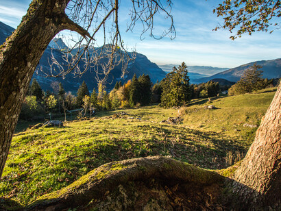 A place we never truly left behind, ph. M. Stillwater