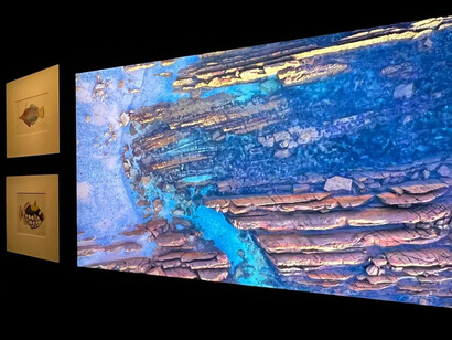 Shaped by the sea, exhibition view. Courtesy of the Australian National Maritime Museum