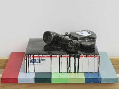 Pam Lins, 2015, MDF shelves with GTO colors, USPS, Flat Rate box, aqua resin, acrylic paint
and ceramic model