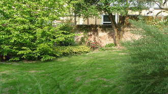 Vista del giardino