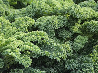 Kale