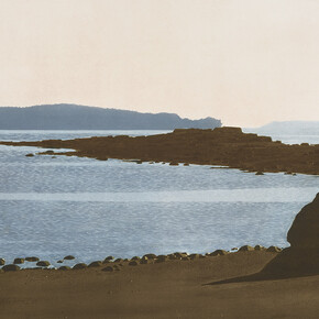 Takao Tanabe, Cormorant island, 2023